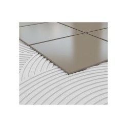 C2T PROFESSIONAL WHITE