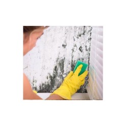 Antibacterial Solution 10LT